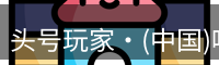 头号玩家·(中国)唯一官方网站
